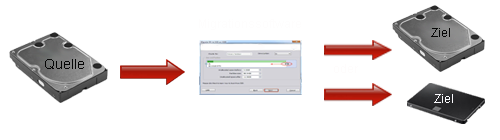 Migration